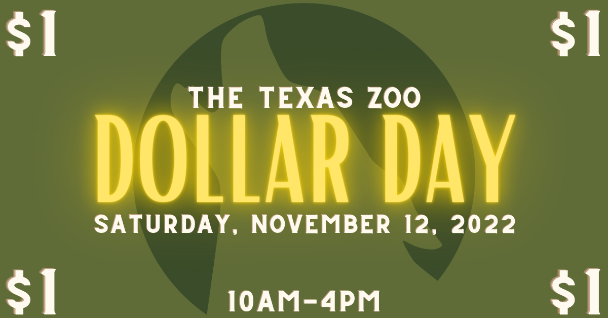 Dollar Day The Texas Zoo
