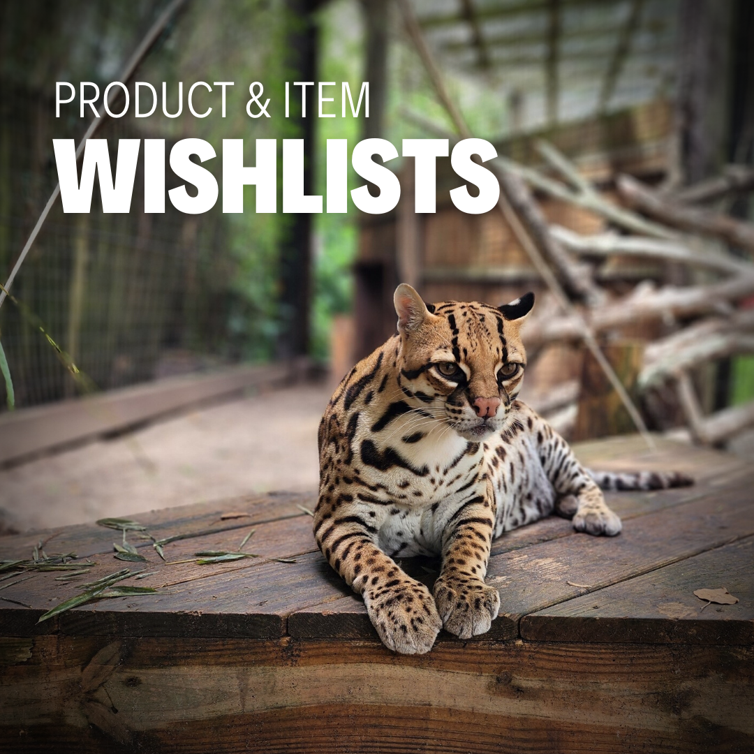 Ocelot laying on wooden platform with product and item wishlist text