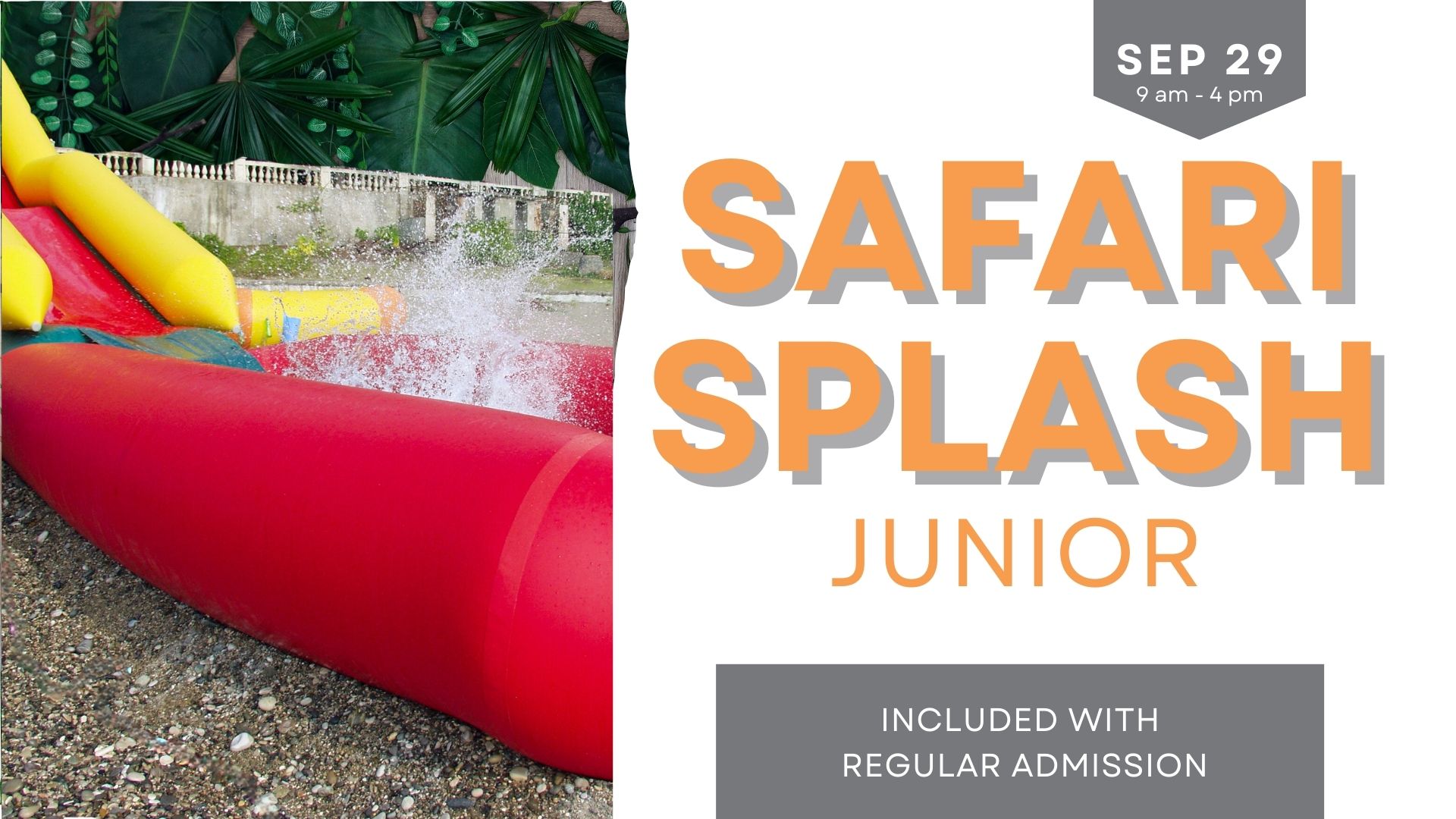 Safari Splash Junior at The Texas Zoo Things To Do Sunday September 29 2024