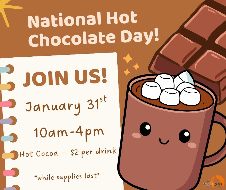 January 31st - National Hot Chocolate Day.jpg